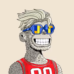 y00t #13382