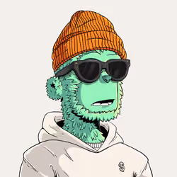 y00t #6271