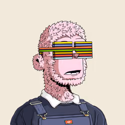y00t #2119