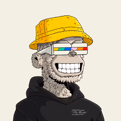 y00t #8234