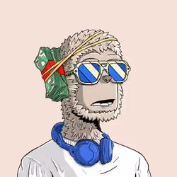 y00t #12633