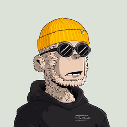 y00t #590