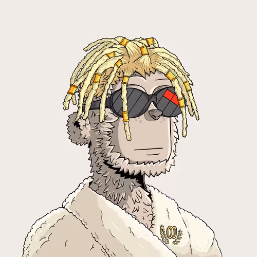 y00t #14231