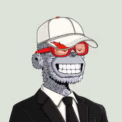 y00t #6065