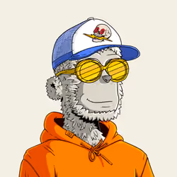 y00t #5050