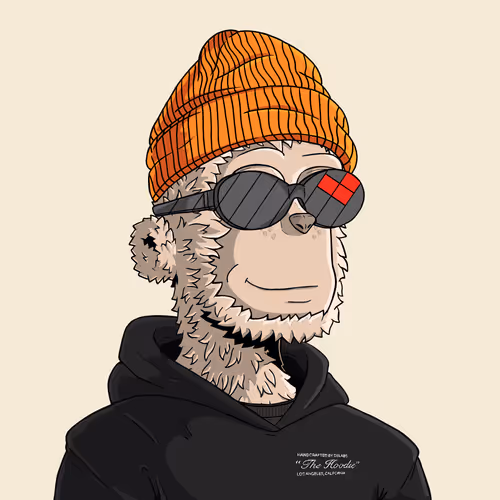 y00t #9338