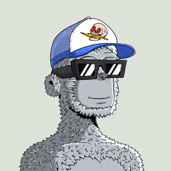 y00t #13240