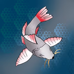 Koi #97