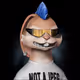 513