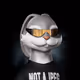 2329