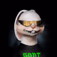 255