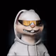 190
