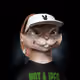 113