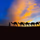 DESERT STORIES V2