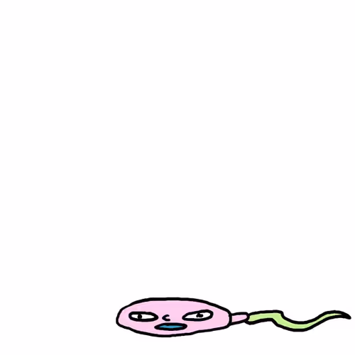 Justin Roiland