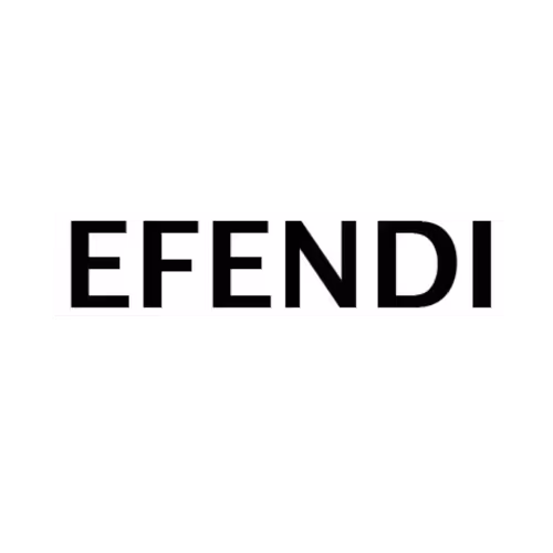 EFENDI