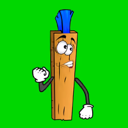 Plank Plank #153