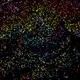 Mounth___ Art Tokens