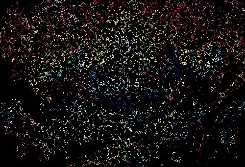 Mounth___ Art Tokens