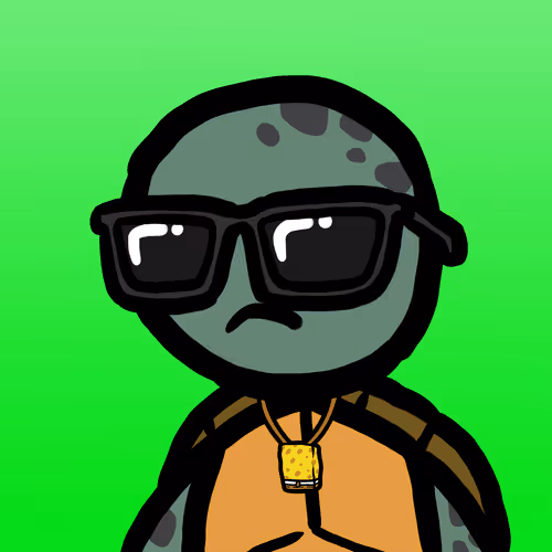 Tropical Turtle #1499