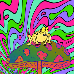 803