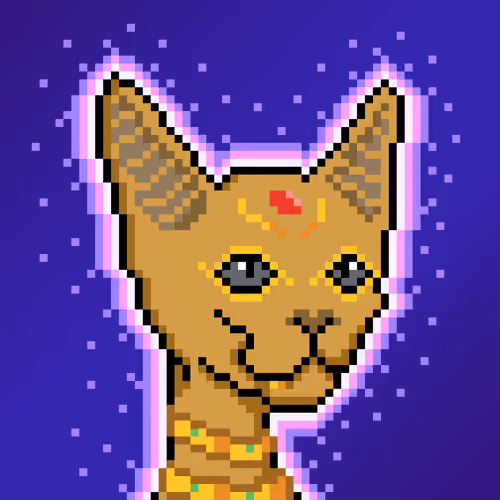 Cat# 2