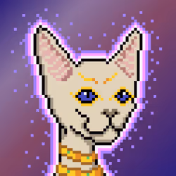 Cat# 338