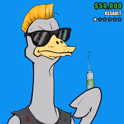 Ostrich #809