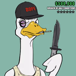 Ostrich #346