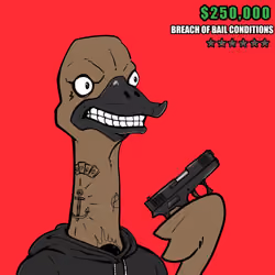 Ostrich #568
