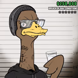 Ostrich #874