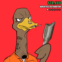 Ostrich #237