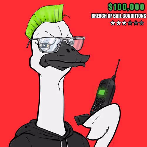 Ostrich #848
