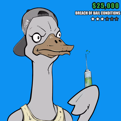 Ostrich #39