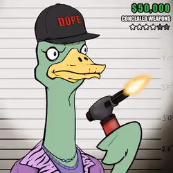 Ostrich #499