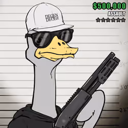 Ostrich #93