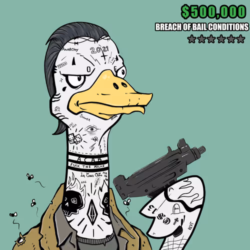 Ostrich #518