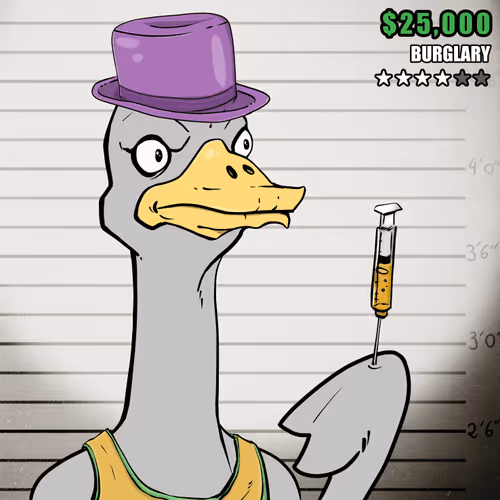 Ostrich #70