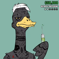 Ostrich #89