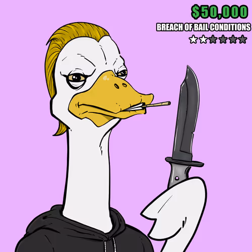 Ostrich #905
