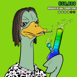 Ostrich #873