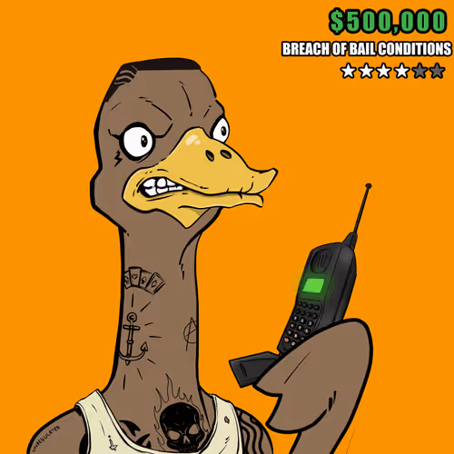 Ostrich #584