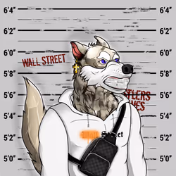 The Hustlers of Wall Street #163
