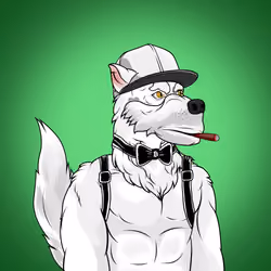 The Hustlers of Wall Street #3145