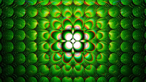 Item #17700010024 Media