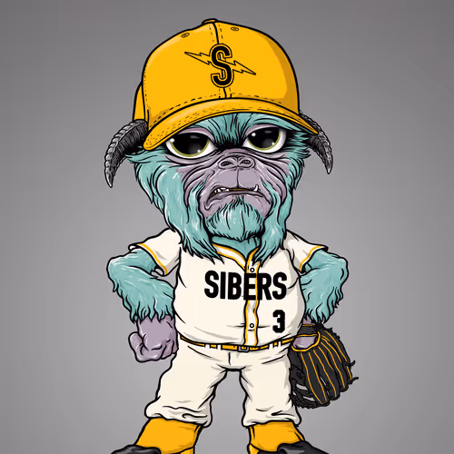 Siber Underdog Baseball