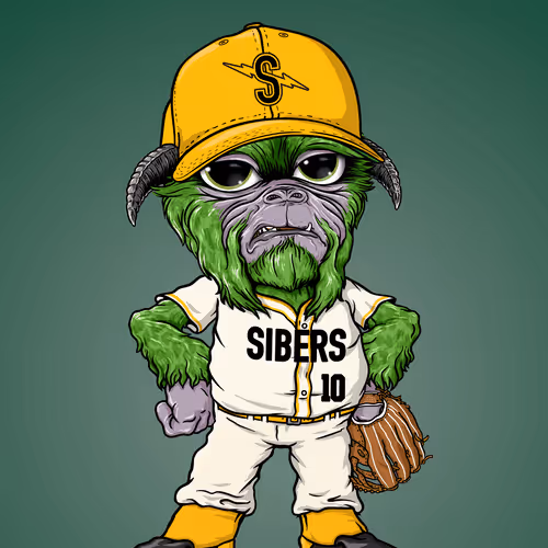 Siber Underdog Baseball