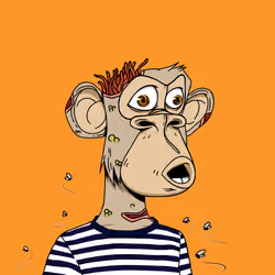 DFYC #4238
