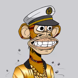 DFYC #2393