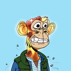 DFYC #3848